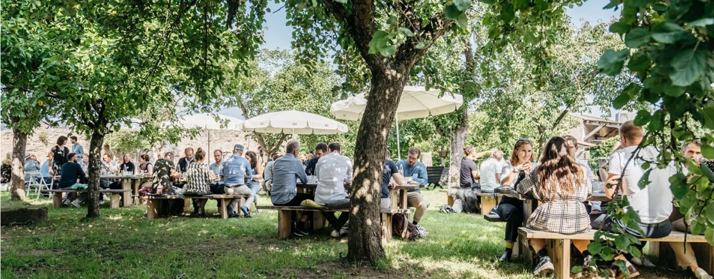 Obstwiese background